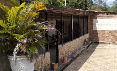 VENDO FINCA DE TRABAJO EN AMALFI ANTIOQUIA.