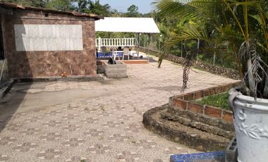 VENDO FINCA DE TRABAJO EN AMALFI ANTIOQUIA.