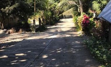 Attention investors and homebuyers! Here's your chance to grab a fantastic deal on a house and lot in a prime location! Our motivated seller has price