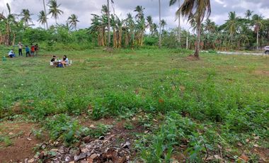 Farm Lot for Lease in Magallanes Cavite For Vacation Rental Business or AIR BNBs