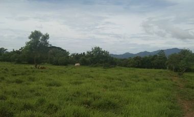 8.5has farm land ideal for piggery in Ibaan Batangas