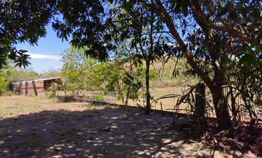 5 Bedroom Moroccan-American Large House in Castillejos, Zambales