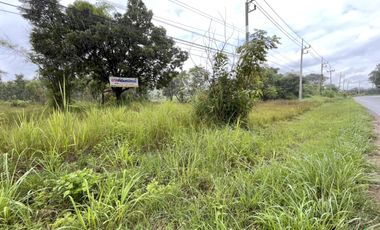 Beautiful plots of land for sale in Lamphun.