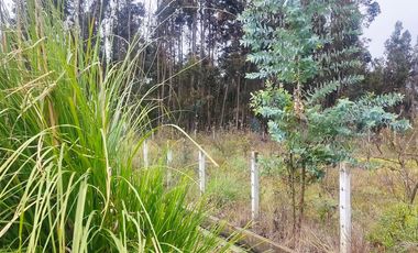 TERRENO EN VENTA EN CEVALLOS. AMBATO