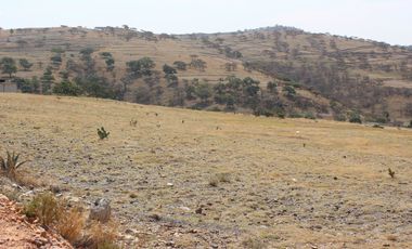 SE VENDE TERRENO EN A Santo Tomás Chautla, San Francisco Totimehuacan, Guadalupe, Puebla, México
