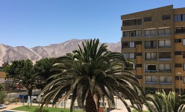 DEPARTAMENTO - CONDOMINIO LAS PALMAS