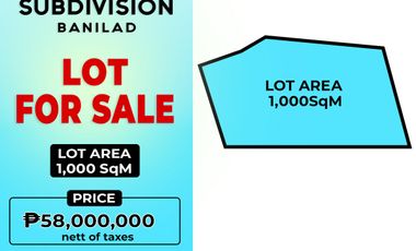 1000 SqM Lot For Sale in Doña Rita Subdivision Banilad