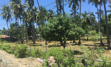 FOR SALE - Vacant Lot in Alubijid, Misamis Oriental
