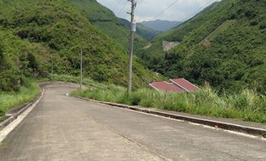 218  Sq.m Residential Lots for Sale in Pacific Heights, Talisay, Cebu