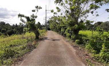 Attention Investors and Developers! A unique opportunity has arisen to purchase 10 hectares of prime real estate in the Philippines! This vast and versatile piece of land is located in Brgy. San Ignacio, San Pablo, Laguna, Philippines