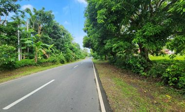 Land Lot For Lease in Magallanes Cavite