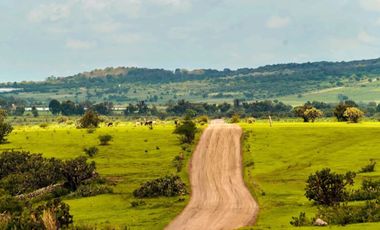Oportunidad Terreno en venta pie de carretera a Chapala Ixtlahuacán  35,277m2