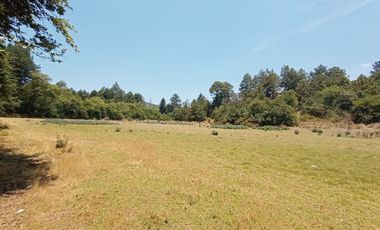 Excelente Terreno en venta