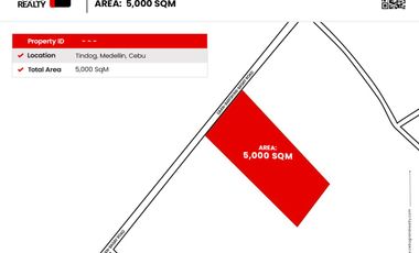 5000 SqM Lot for Sale in Medellin Cebu