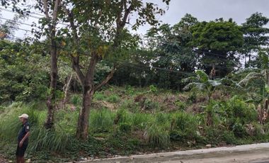 For Sale: Commercial Lot along the road at Nabas Aklan, P11M