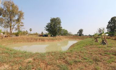3 Rai of Land With A Small 1 Bedroom Bungalow For Sale In Ban Fang, Khon Kaen, Thailand
