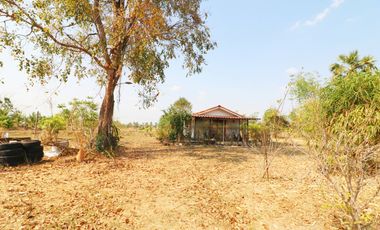 3 Rai of Land With A Small 1 Bedroom Bungalow For Sale In Ban Fang, Khon Kaen, Thailand