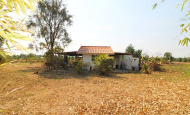 3 Rai of Land With A Small 1 Bedroom Bungalow For Sale In Ban Fang, Khon Kaen, Thailand
