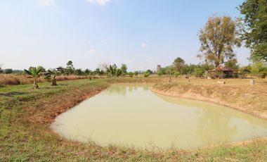 3 Rai of Land With A Small 1 Bedroom Bungalow For Sale In Ban Fang, Khon Kaen, Thailand