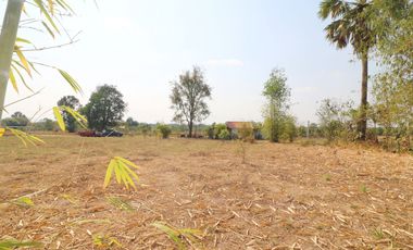 3 Rai of Land With A Small 1 Bedroom Bungalow For Sale In Ban Fang, Khon Kaen, Thailand