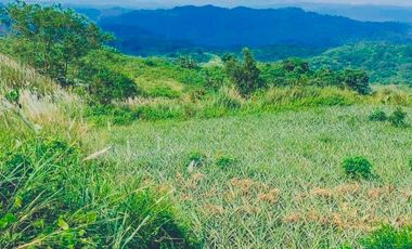 TITLED RESIDENTIAL FARM LOT
