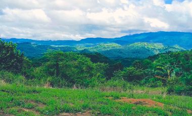 TITLED RESIDENTIAL FARM LOT