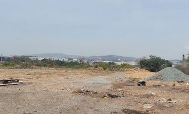 Alquiler de 8000m2 de terreno industrial por Perimetral, Guayaquil.