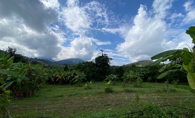 Farm land for sale in Wiang Pa Pao, Chiang Rai