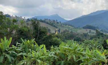 Farm land for sale in Wiang Pa Pao, Chiang Rai
