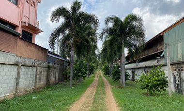 Farm land for sale in Wiang Pa Pao, Chiang Rai