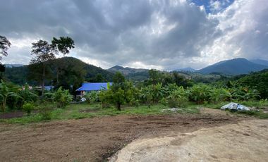 Farm land for sale in Wiang Pa Pao, Chiang Rai