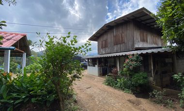 Farm land for sale in Wiang Pa Pao, Chiang Rai