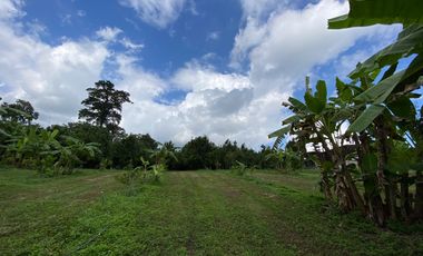 Farm land for sale in Wiang Pa Pao, Chiang Rai