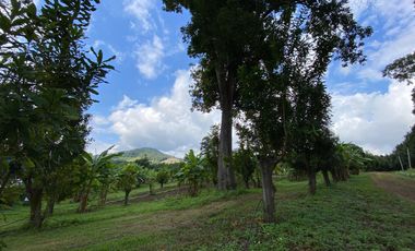 Farm land for sale in Wiang Pa Pao, Chiang Rai