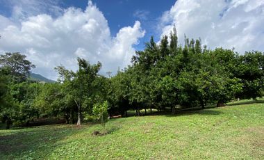 Farm land for sale in Wiang Pa Pao, Chiang Rai