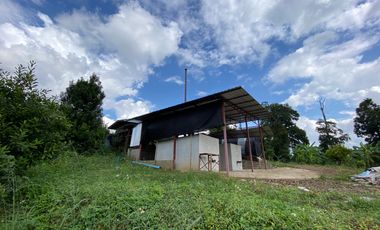 Farm land for sale in Wiang Pa Pao, Chiang Rai
