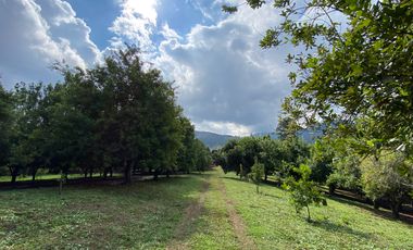 Farm land for sale in Wiang Pa Pao, Chiang Rai
