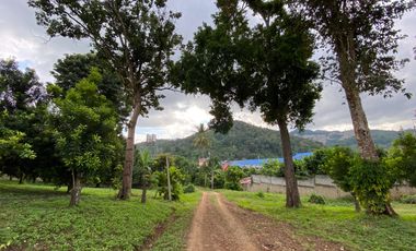 Farm land for sale in Wiang Pa Pao, Chiang Rai