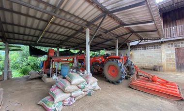 Farm land for sale in Wiang Pa Pao, Chiang Rai