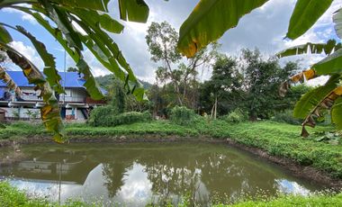Farm land for sale in Wiang Pa Pao, Chiang Rai
