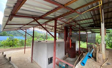 Farm land for sale in Wiang Pa Pao, Chiang Rai