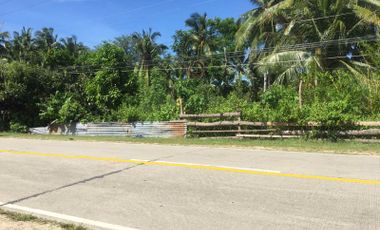 10,132 sq.m Commercial / Residential Lot for Sale located in Ubayon, Loon, Bohol
