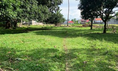 LOT FOR SALE IN DUMAGUETE CITY ID 14757