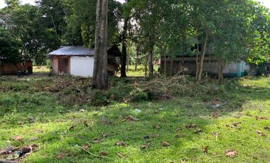 LOT FOR SALE IN DUMAGUETE CITY ID 14757