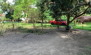 LOT FOR SALE IN DUMAGUETE CITY ID 14757