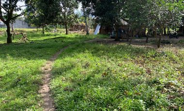 LOT FOR SALE IN DUMAGUETE CITY ID 14757