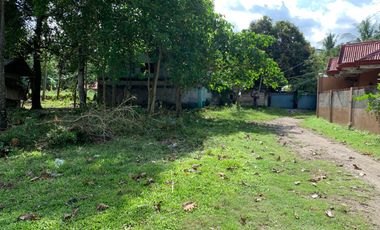 LOT FOR SALE IN DUMAGUETE CITY ID 14757