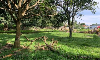 LOT FOR SALE IN DUMAGUETE CITY ID 14757