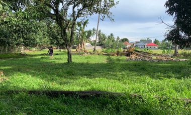 LOT FOR SALE IN DUMAGUETE CITY ID 14757
