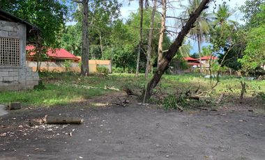 LOT FOR SALE IN DUMAGUETE CITY ID 14757